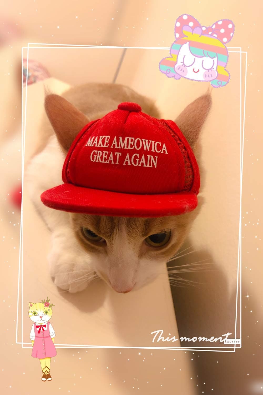 Unekorn Ultra Comfort Adjustable Make Ameowica Great Again MAGA Trump Slogan Cat Hat Pet Costume for Halloween Parties and Instagram Pictures Make America Great Again Cat Hat