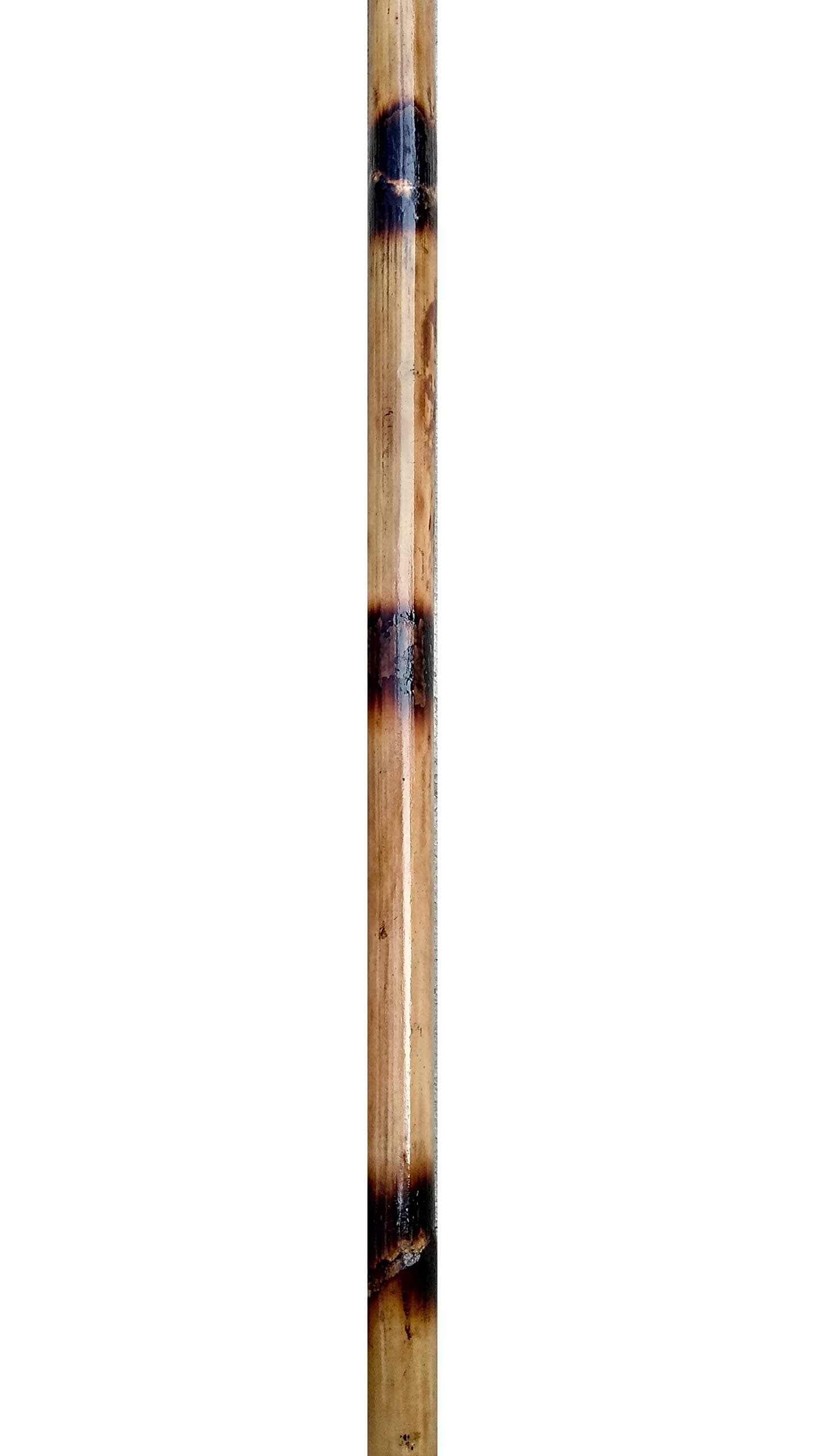 Rattan Bo Staff 5.5 Feet Stick, Brown