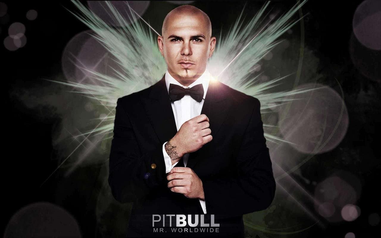Pitbull Rapper Mr. Worldwide Singer Songwriter 12 x 18 Inch Quoted Multicolour Rolled Unframed Poster