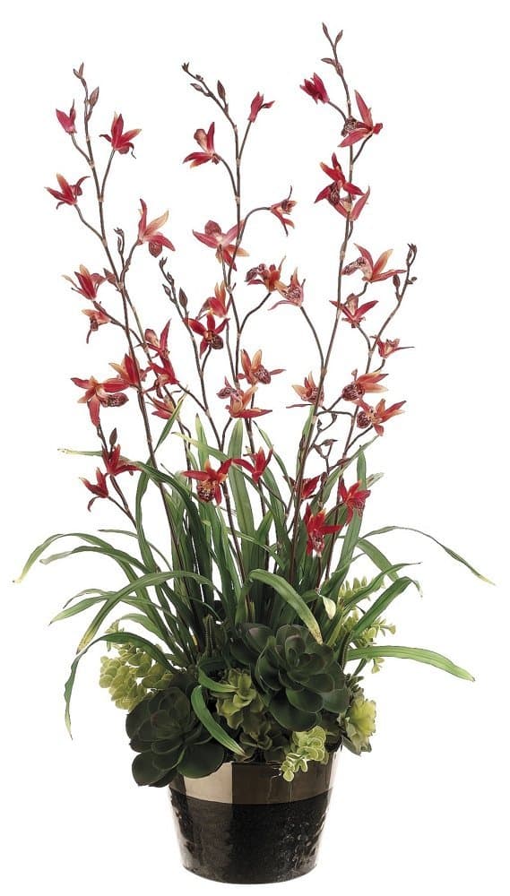 38" Dendrobium and Succulents Floral Arrangement with Ceramic Pot