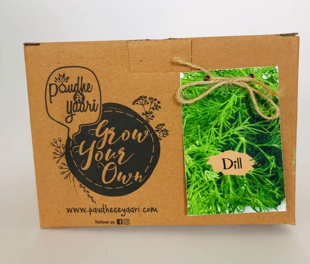 Paudhe Se Yaari Grow Your Own Dill Kit. Indoor Outdoor Herbs Vegetables Make Your Own/Do It Yourself Kitchen Garden Starter Kit Contains Coir Pot Soil Mix and Dill Seeds.