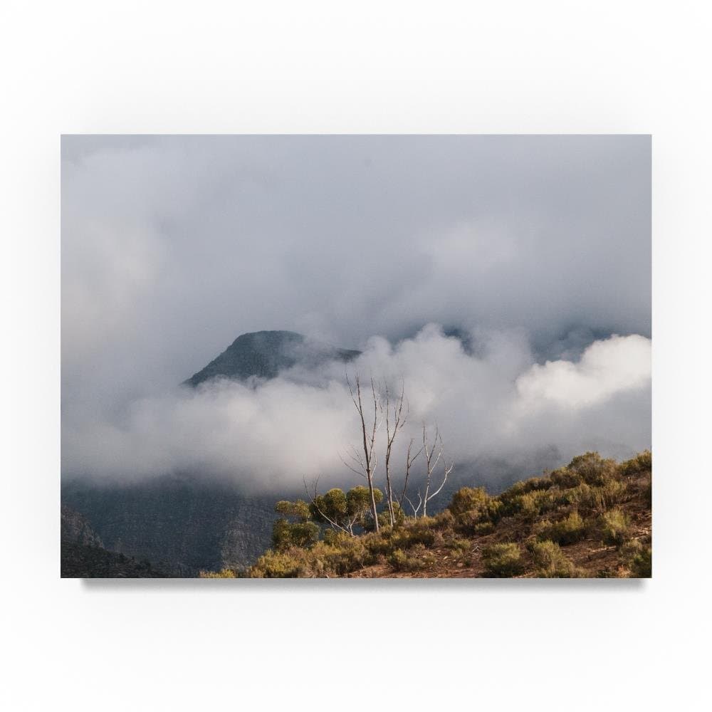 Nature Preserve South Africa by Thom Sivo, 14x19-Inch Canvas Wall Art