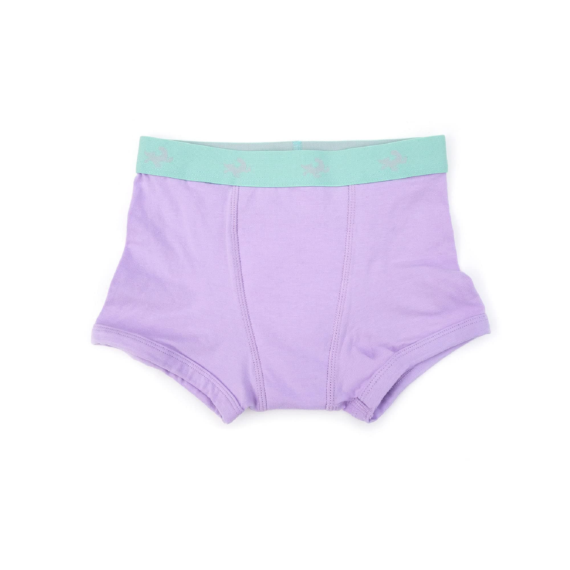 Conni Kids Training Boxer Pants Soft Shorts Reusable Toddler Potty Training Underwear Waterproof Easy Pull Up Youth Incontinence Bubble Gum Sizes 8-10