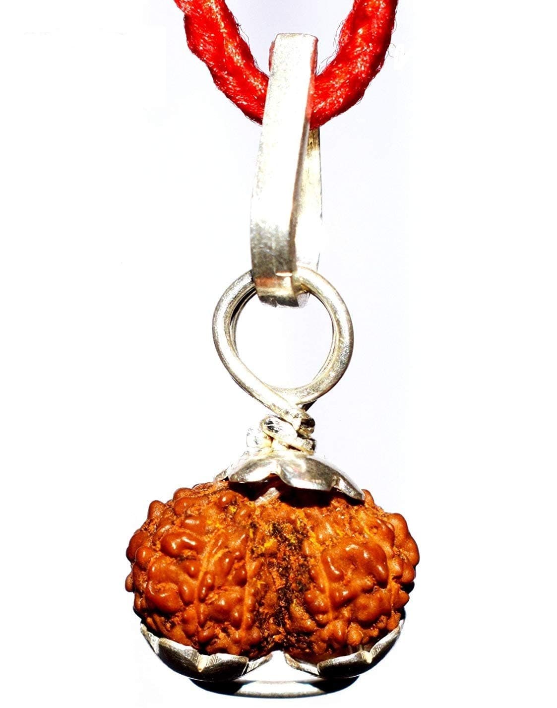 Divya Shakti 100% Original Indonesian Gauri Shankar Rudraksha in Silver capping (Gaurishankar Rudraksh) 10 M.M small size