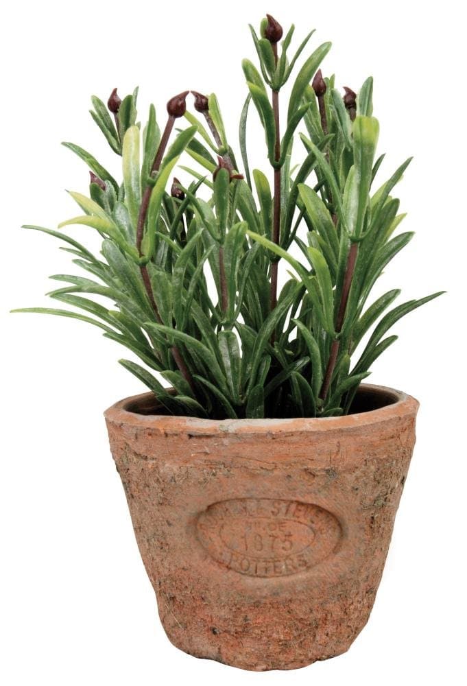 Esschert's Design AH011 Small Artificial Aged Terracotta Pot - Rosemary