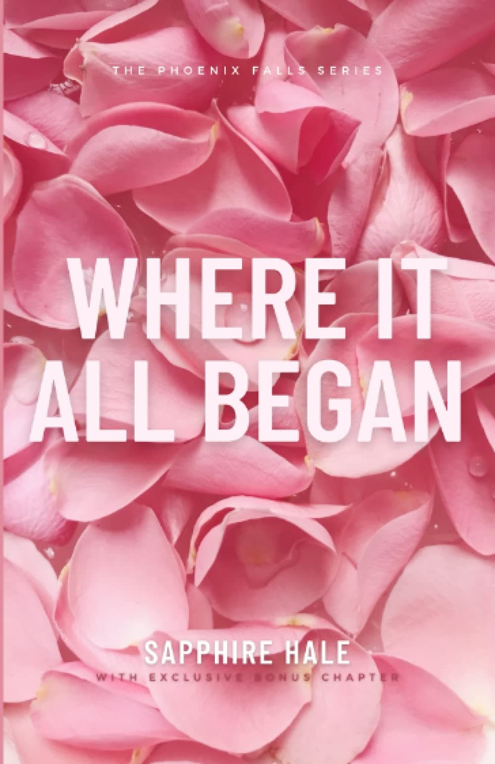 Where It All Began (Phoenix Falls Series)