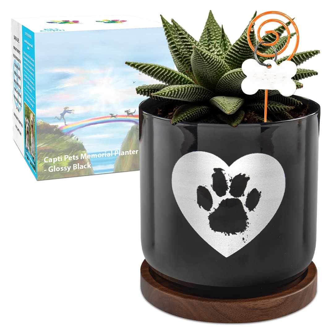 Capti Dog Memorial Gifts Plant Pot - Paw Print On My Heart Planter, Pet Loss Gifts - Rainbow Bridge Poem & Stake, Remembrance, Bereavement, Keepsake, Sympathy Loss of Dog Gifts