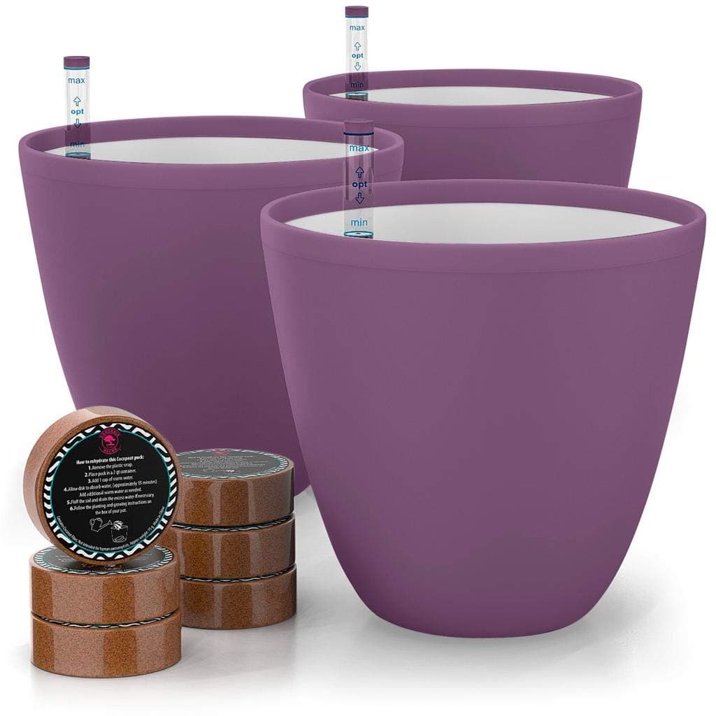 Self Watering Pots for Indoor Plants 3 Pack - Flower Pot with Water Level Indicator for Plants, Grow Tracking Tool - Self Watering Planter Plant Pot - Coco Coir - Purple