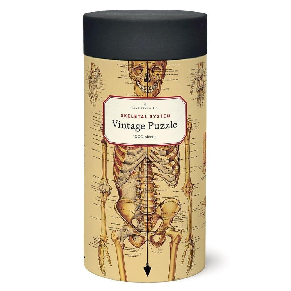 Cavallini Papers & Co. Skeletal System 1,000 Piece Puzzle, Multi