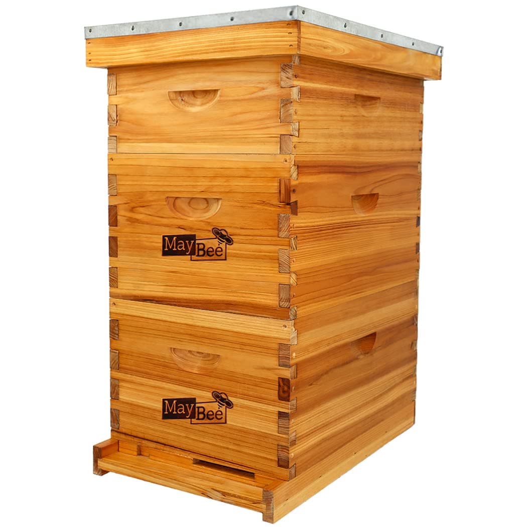 MayBee 8-Frame Langstroth Beehive Dipped in 100% Beeswax, Bee Hive for Beginner, Honey Bee Hives Includes 2 Deep Bee Boxes, 1 Bee Hive Super with Beehive Frames and Foundation (3 Layer)