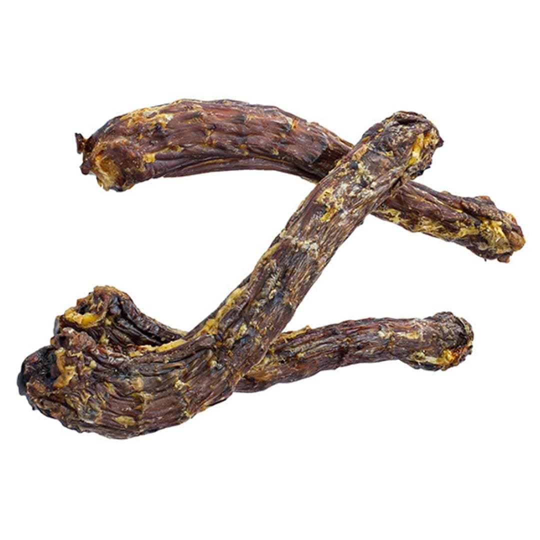 Express Pet Supplies Duck Necks | 12-15cm Long | 100% Naturally Air-Dried Treats for Dogs | Low Fat High Protein | Snack (10)