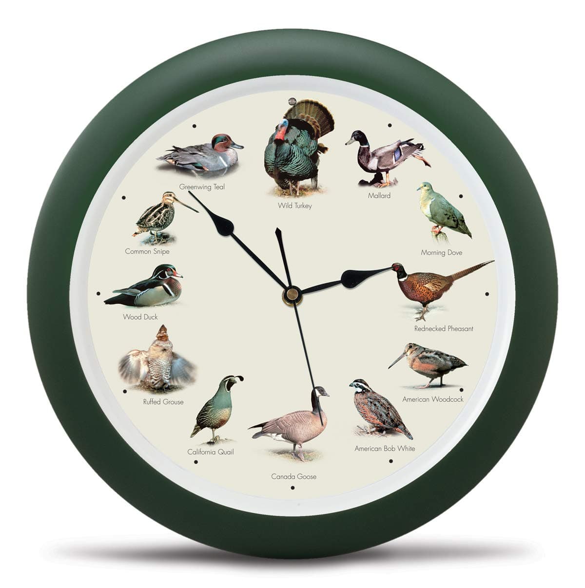 Mark Feldstein, Singing Wild Game Birds of North America Wall Clock, 13 Inch, Green