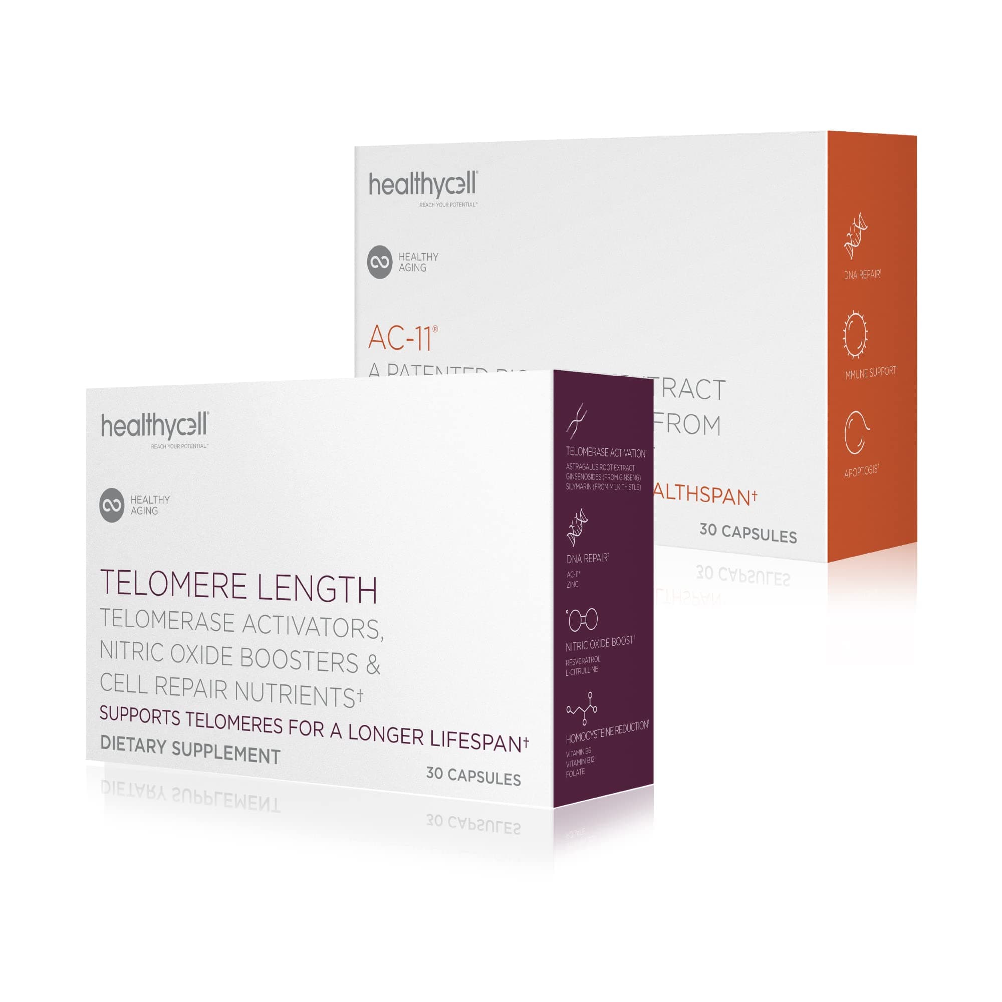 Telomere Length + AC-11 | DNA Repair Supplements for Anti-Aging and Cell Health