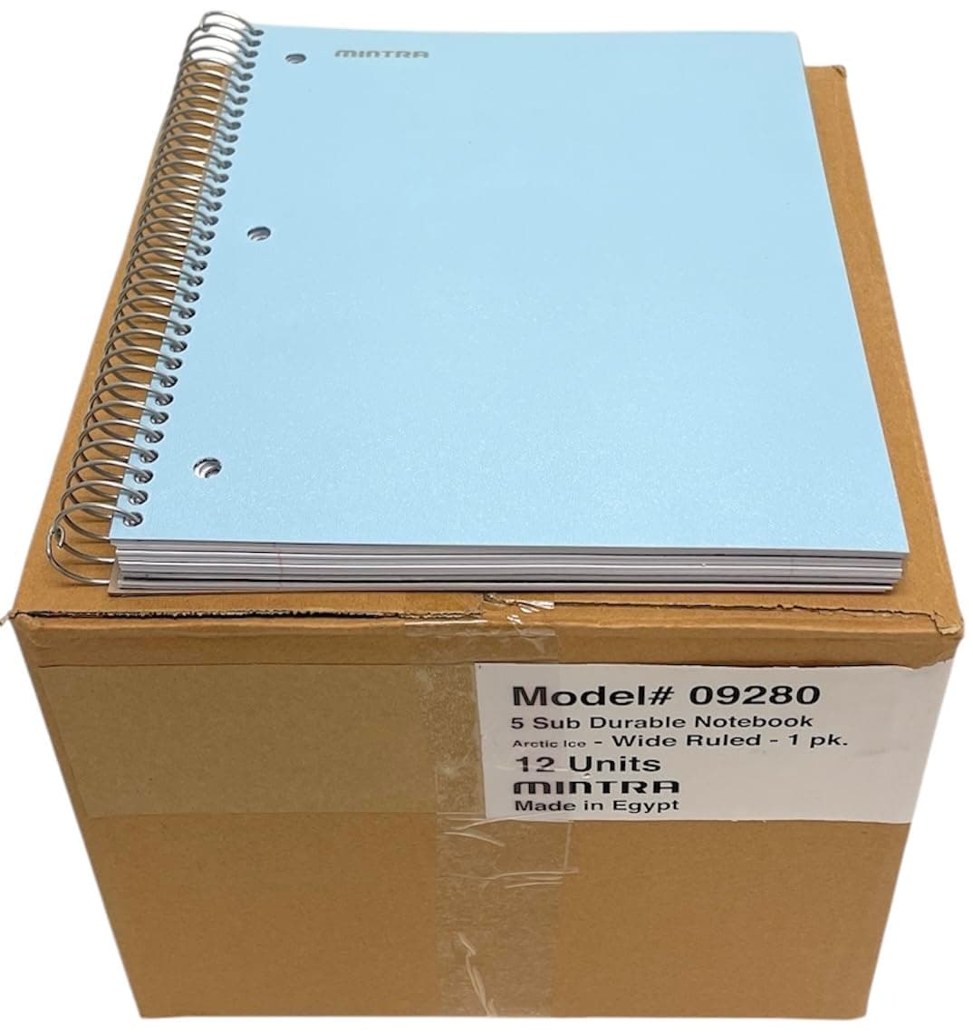 Mintra Office Durable Spiral Notebooks, 5 Subject (Arctic Ice, Wide Ruled 12pk)