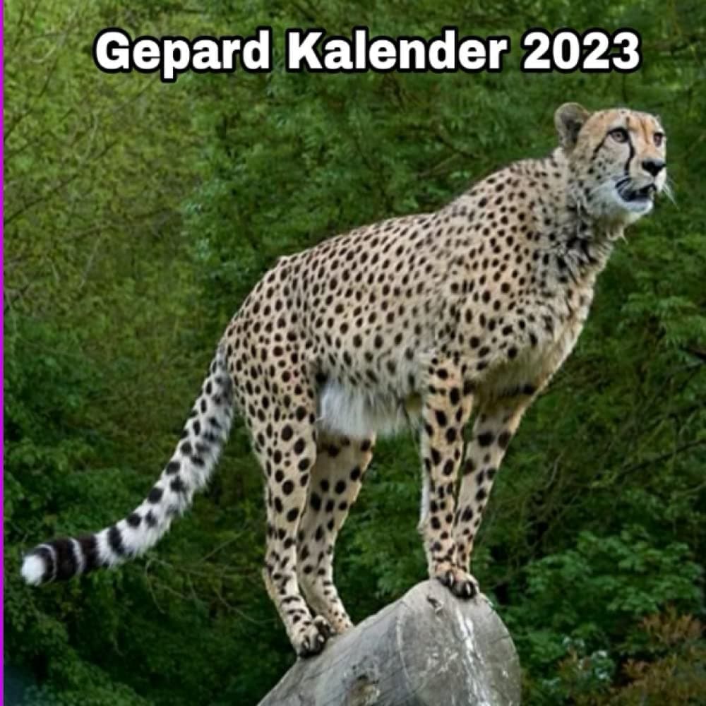 Gepard Kalender 2023: Geschenk für Tierliebhaber | Jährlicher monatlicher 12-Monats-Kalender
