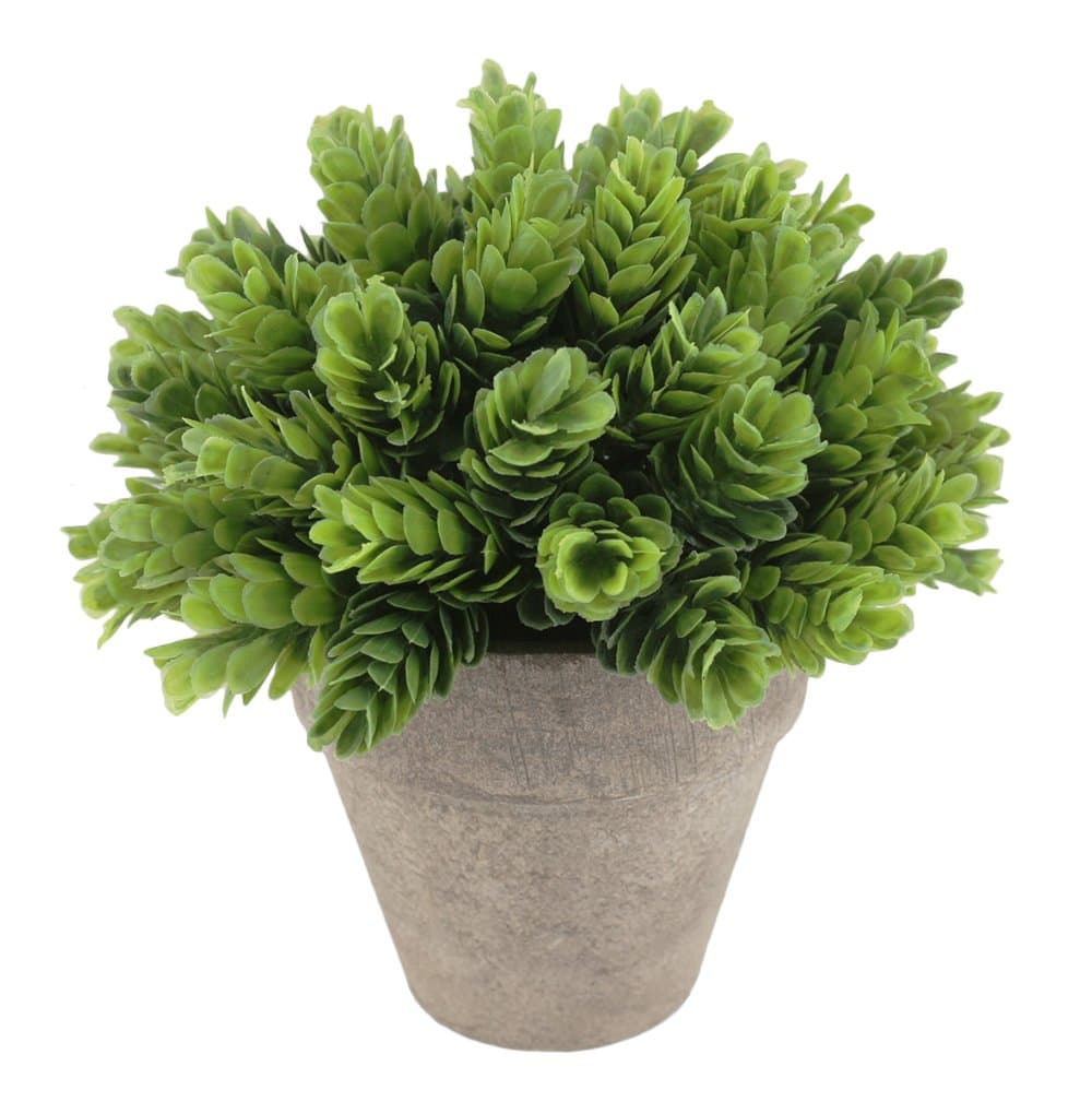 Kumii Small Artificial Plastic Potted Plant, Home Decor Grass for Desk Office Living Room Bedroom (Natural Green)