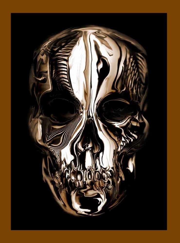 ALEXANDER MCQUEEN SAVAGE BEAUTY