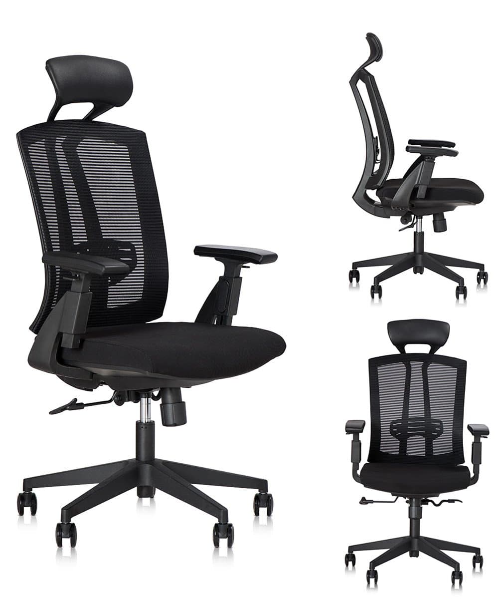 Dr. Office High Back Ergonomic Office Chair Executive Desk Chair with Headrest and Ajustable Armrest(Black)
