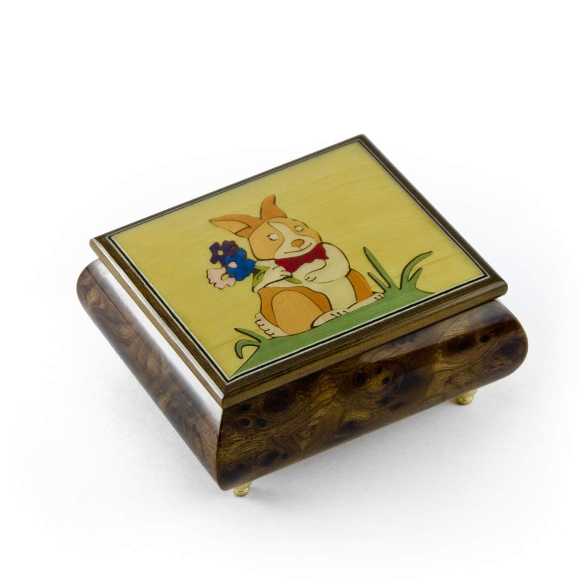 Bunny Boy Astonishing Music Jewelry Box - Over 400 Song Choices - HAVA Nagila (Alicia Jonas)