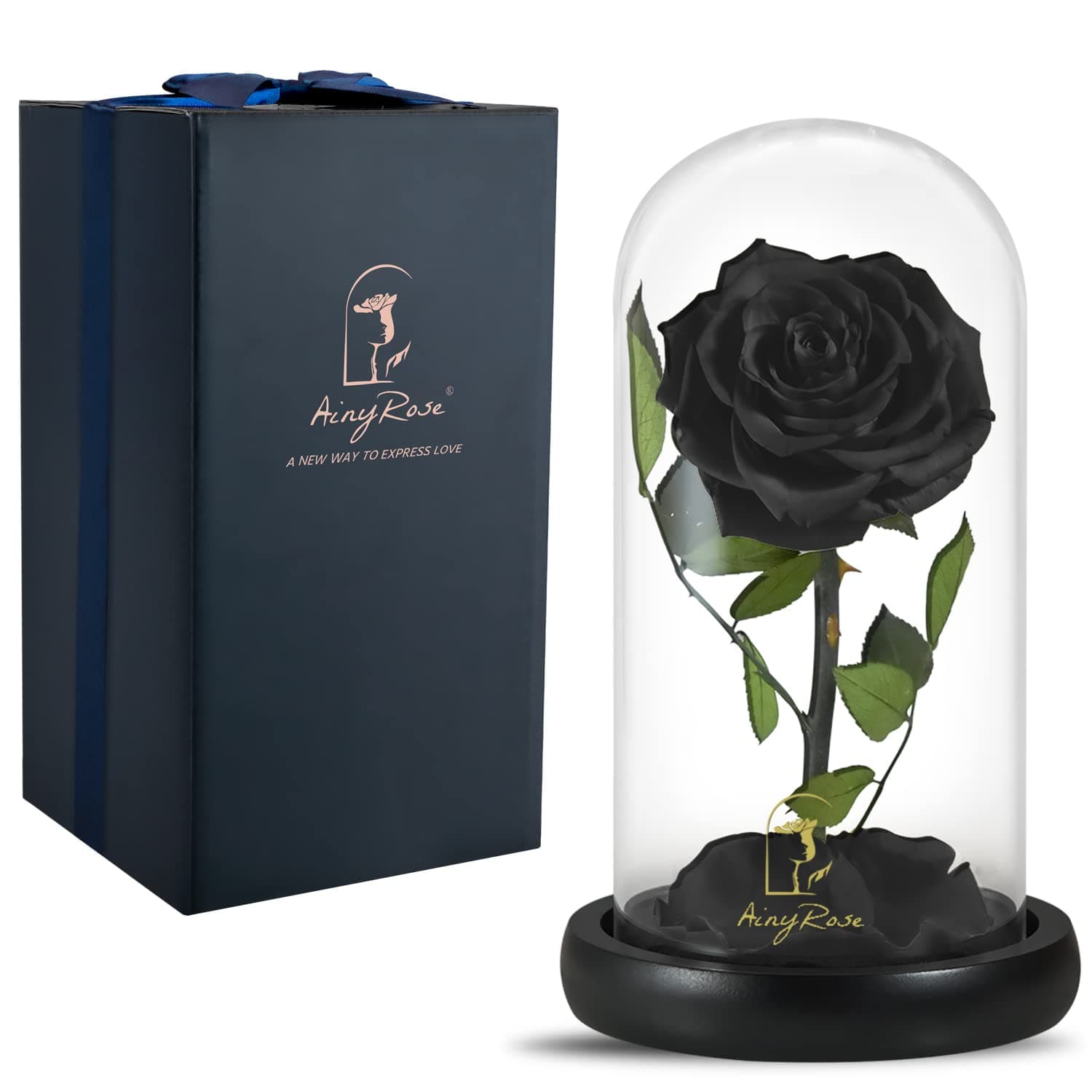 SW Forever Preserved Real Black Rose Flower Birthday Gift for Mom Women,Valentines Eternal Flower in Glass Gifts for Mothers Day Christmas Anniversary Birthday (Black)