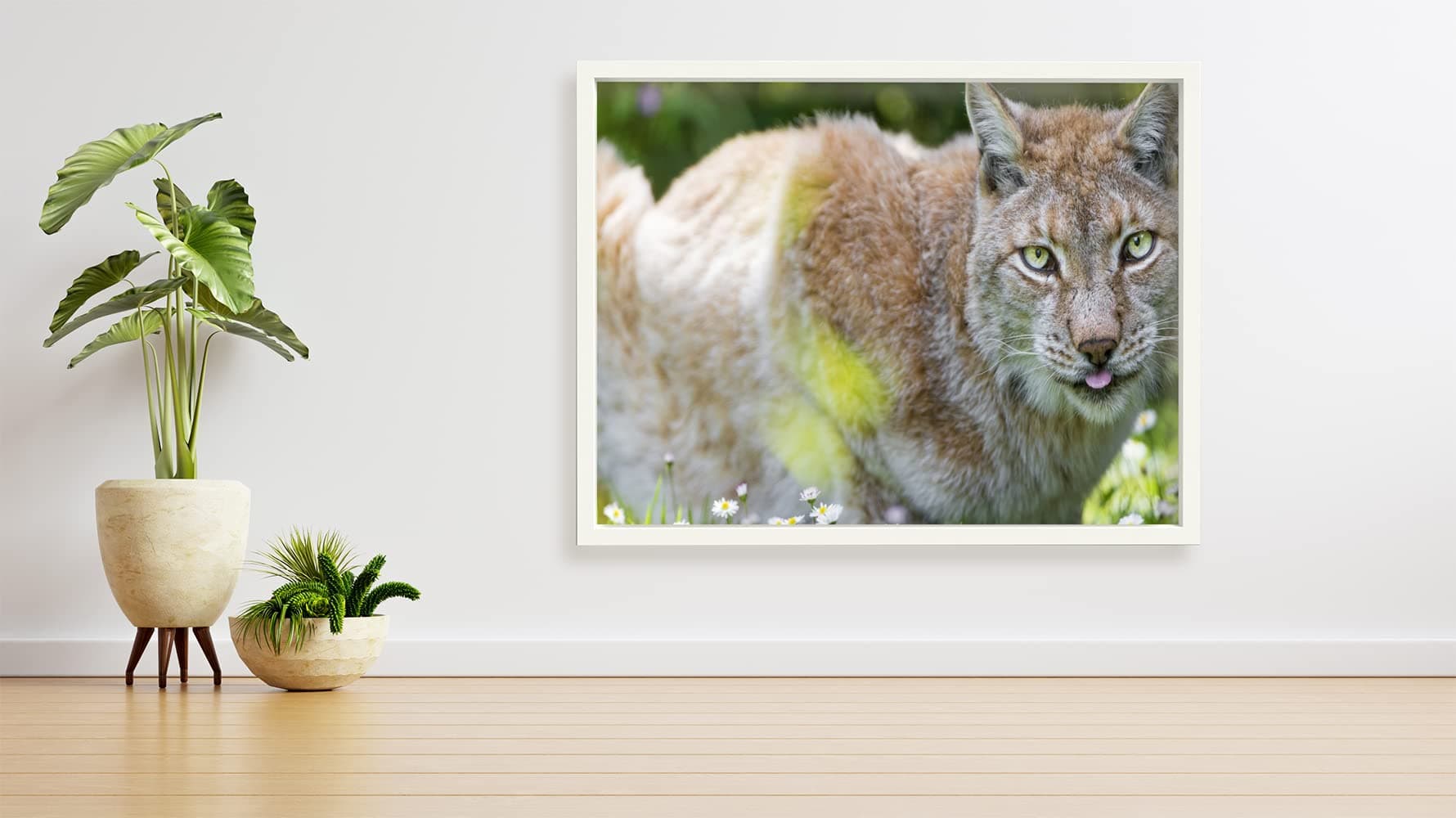 VERRE ART Printed Framed Canvas Painting for Home Decor Office Studio Wall Living Room Decoration (34x22inch White) - Cute Lynx
