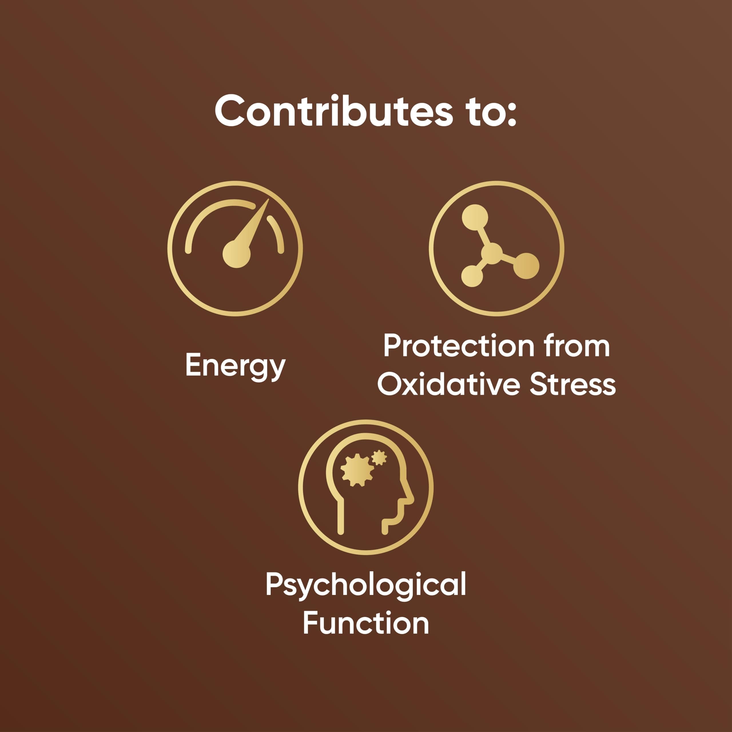 CACAO POWDER FAIR TRADE 250G