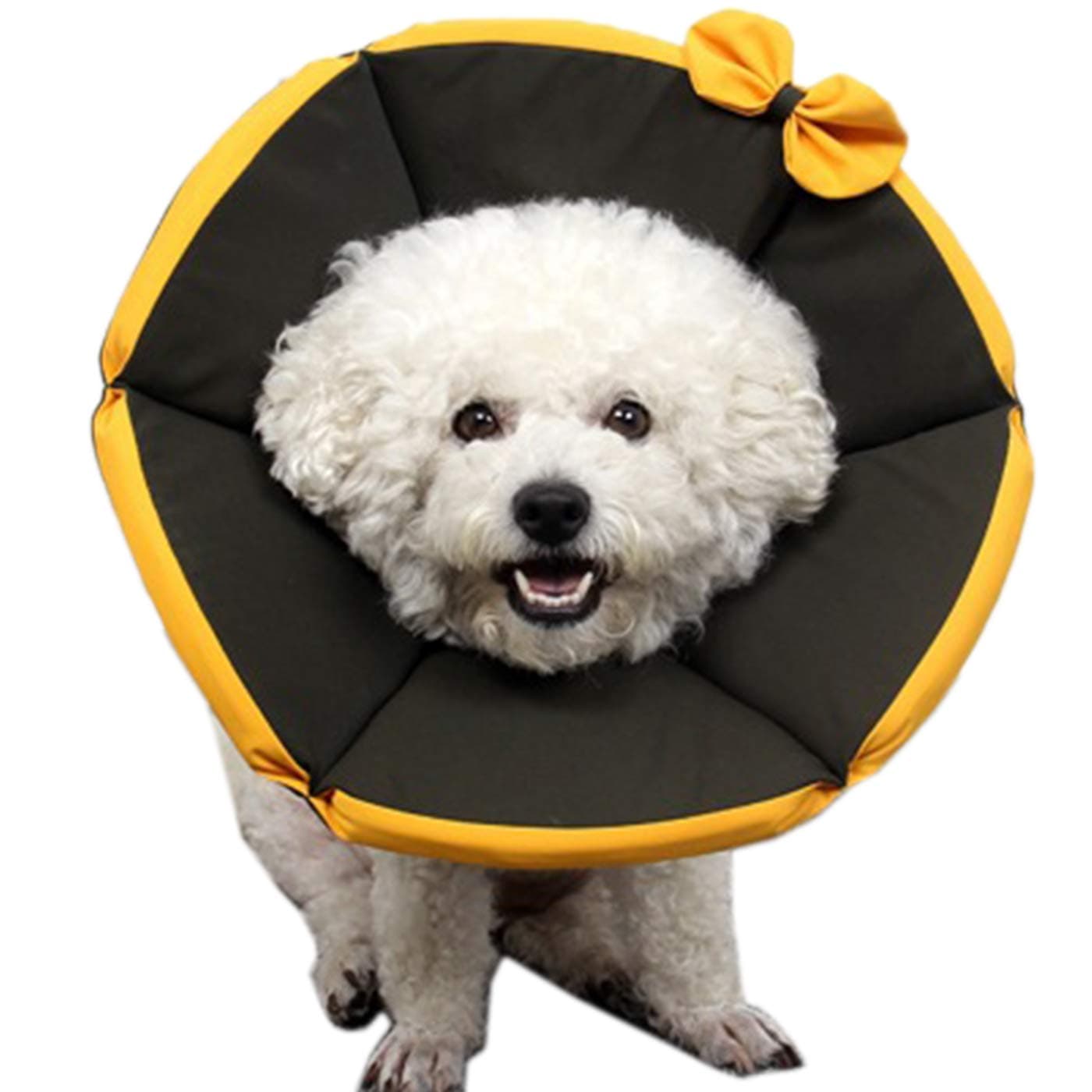 Alfie Pet by Petoga Couture - Timber Recovery Collar for Dogs and Cats - Color: Black, Size: Medium