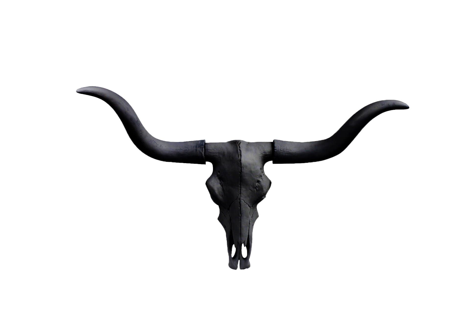 Wall Charmers Large Faux Longhorn Skull - 27.5" Faux Taxidermy Animal Head Wall Decor - Handmade Farmhouse Decor (Black)
