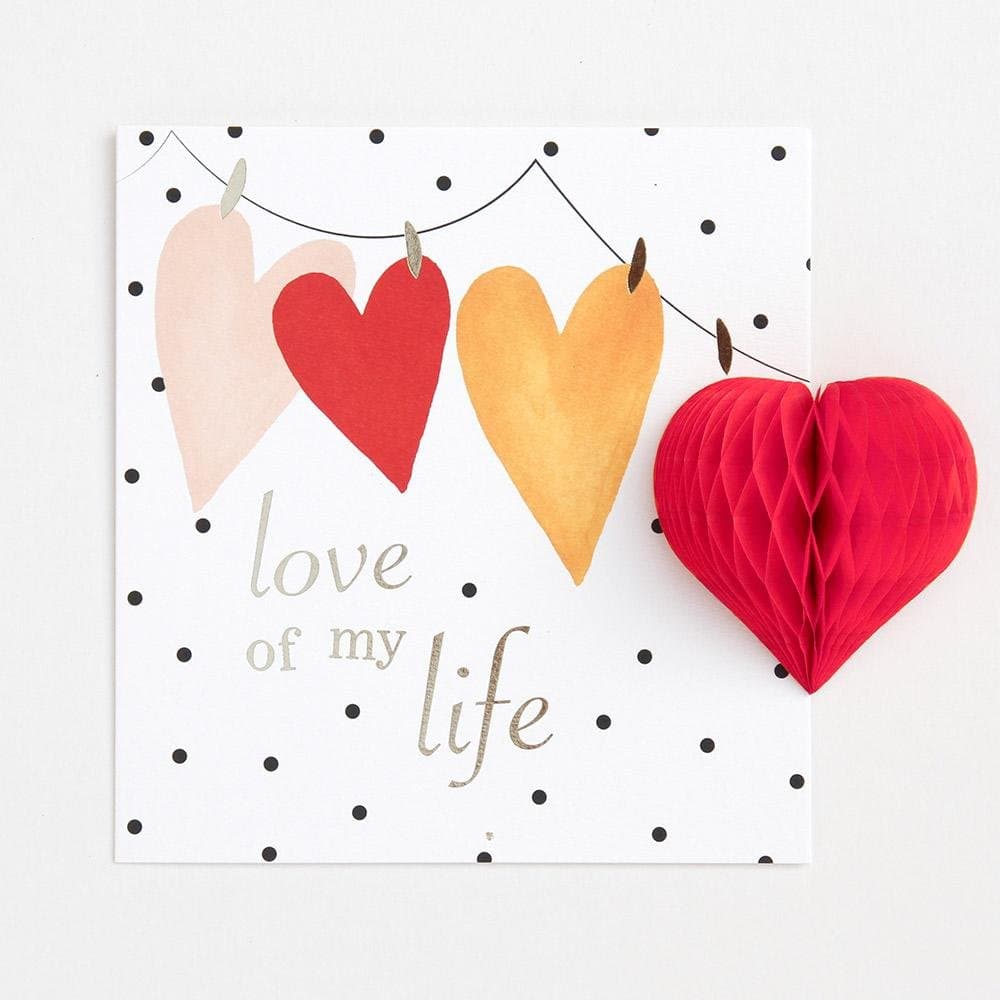 Caroline Gardner 3d Pom Pom Love of My Life Valentine Card