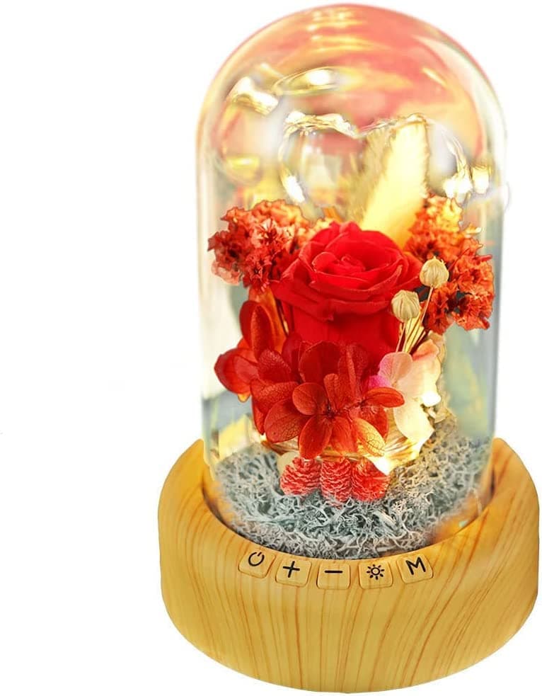 SWEETIME Mother's Day Red Rose Night Light Real Eternal in Glass Dome, Preserved Rose Flower Lamp with Speaker,Forever Flowers Gift for Mom, Wife, Girlfriend on Mother's Day