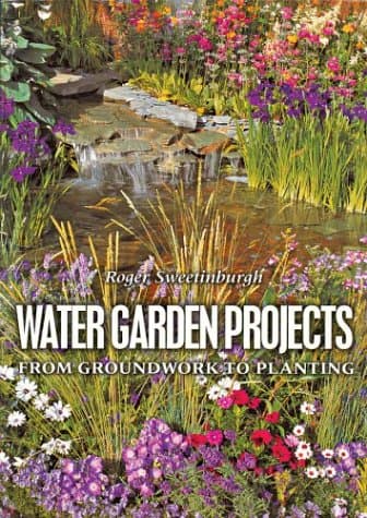Water Garden Projects: From Groundwork to Planting Paperback – 13 Jun. 2002