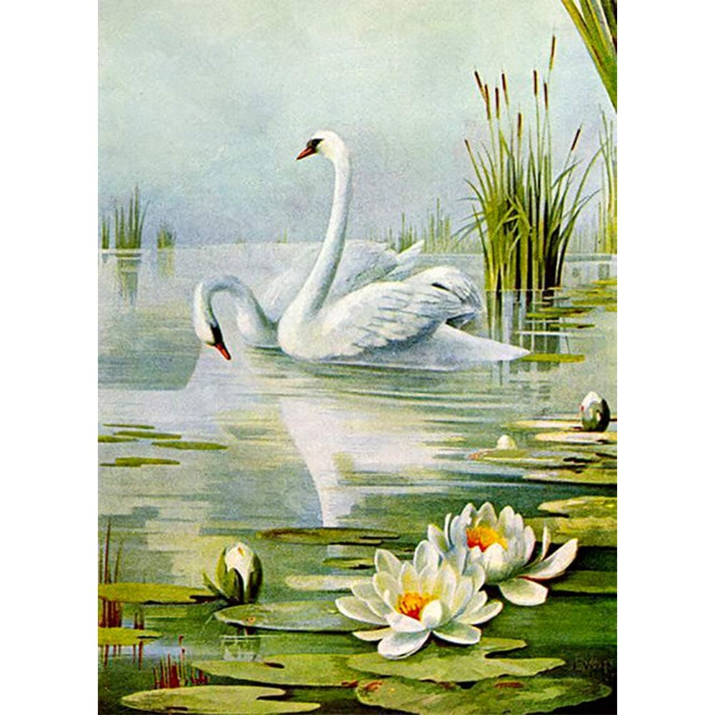 DIY 5D Diamond Painting by Numbers Kits, White Swans Love Water Lilies Lotus, Full Drill Rhinestones Paint with Diamonds Crystal Diamond Art (Swan)