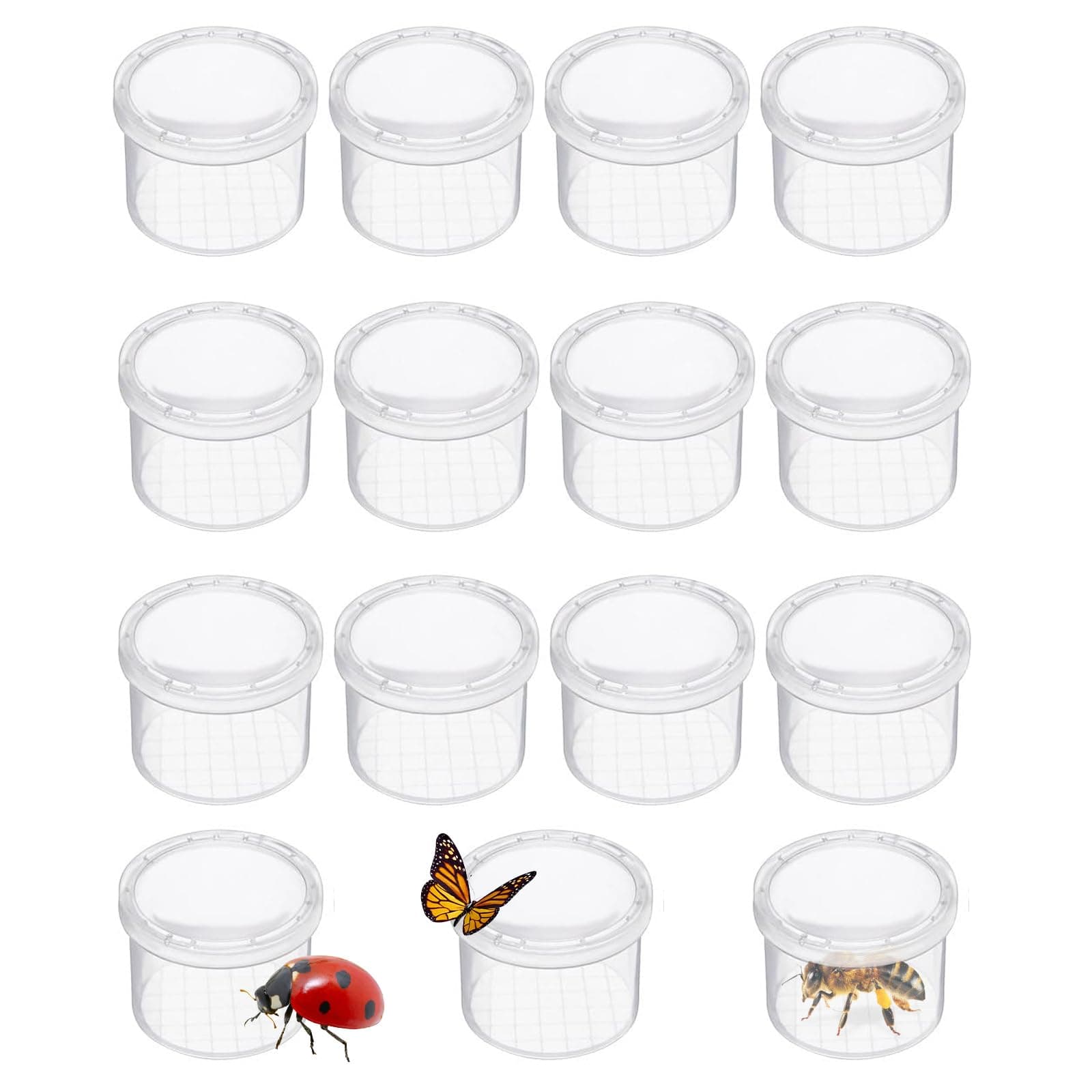 Odowalker Magnifying Bugs Viewer Critter Cage Bug Boxes 12 Pack Bug Jars Nature Exploration Insect Magnifier Backyard Explorer Sample Collection Entomology Class Early Education