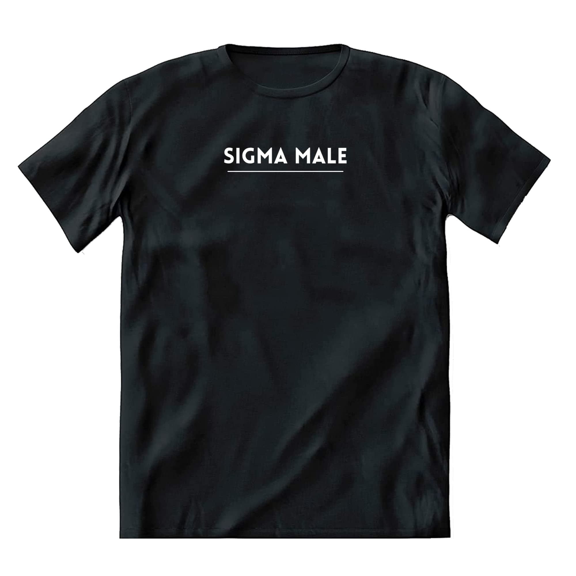 GenericSigma Male Black Tshirt | Meme Printed Half Sleeve Round Neck Funny Hindi Text Graphic T Shirt/Top for Men and Women…