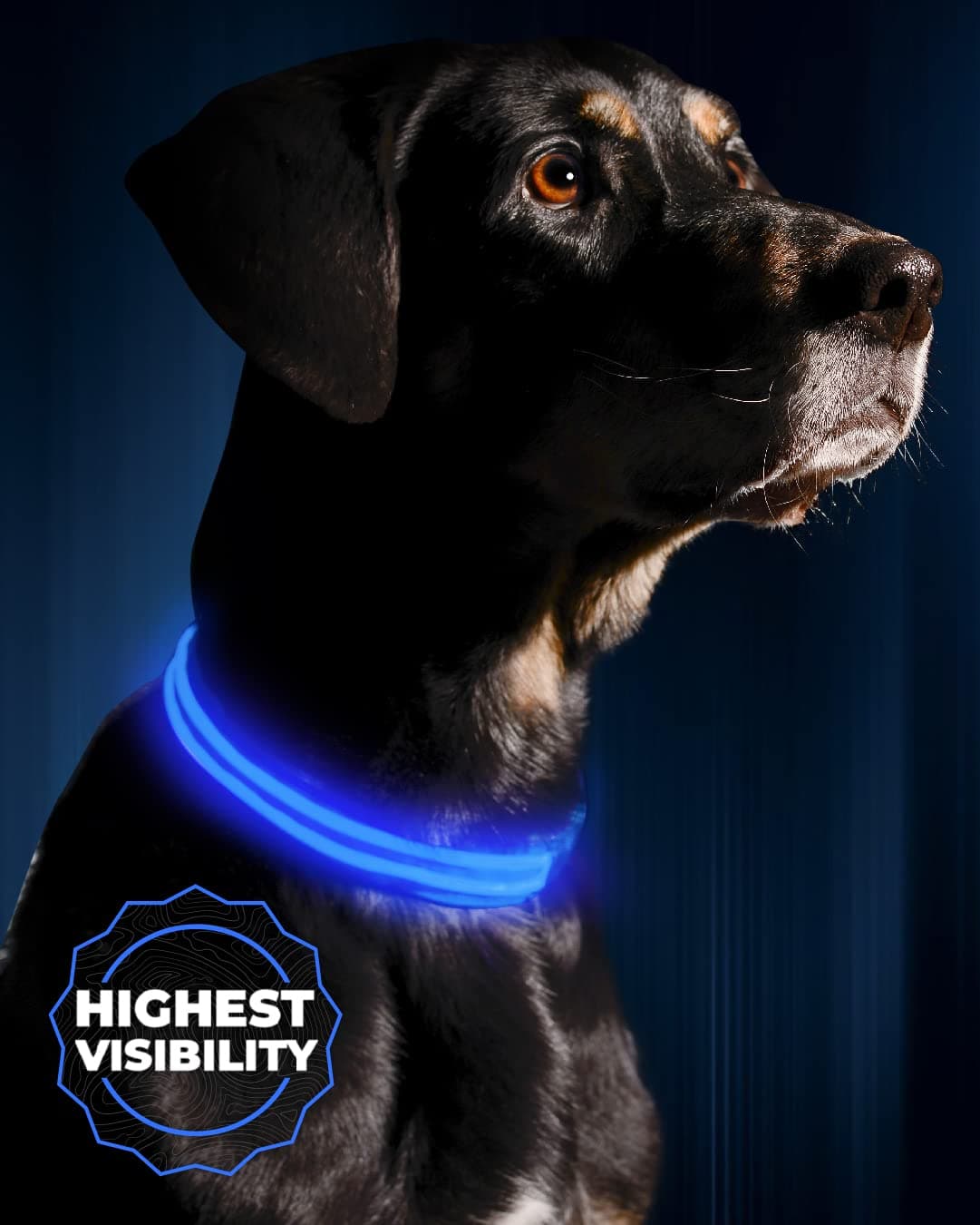 IllumiseenLED Dog Collar USB Rechargeable - Bright & High Visibility Lighted Glow Collar for Pet Night Walking - Weatherproof, in 6 Colors & 6 Sizes (Blue Large)