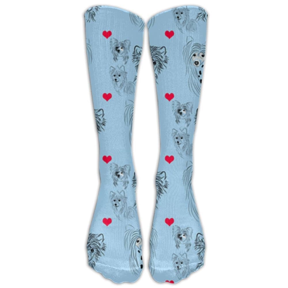 Blue Chinese Crested Fabric Unisex Outdoor Travel Exercise Sports Long Tube Socks Sport Over-The-Calf Long Team Socks
