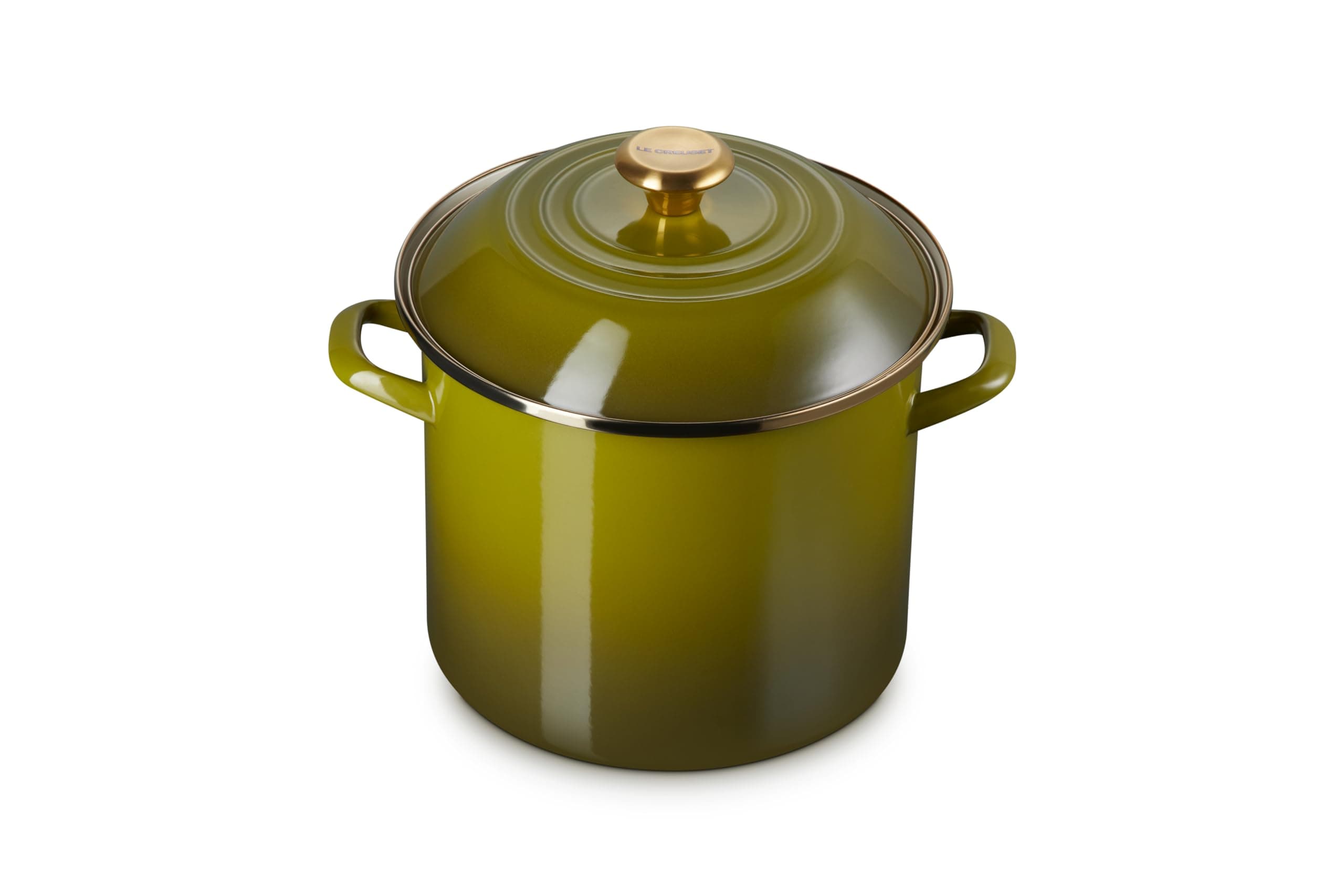 Le Creuset Enameled Pot on Steel, 10 liters, Olive