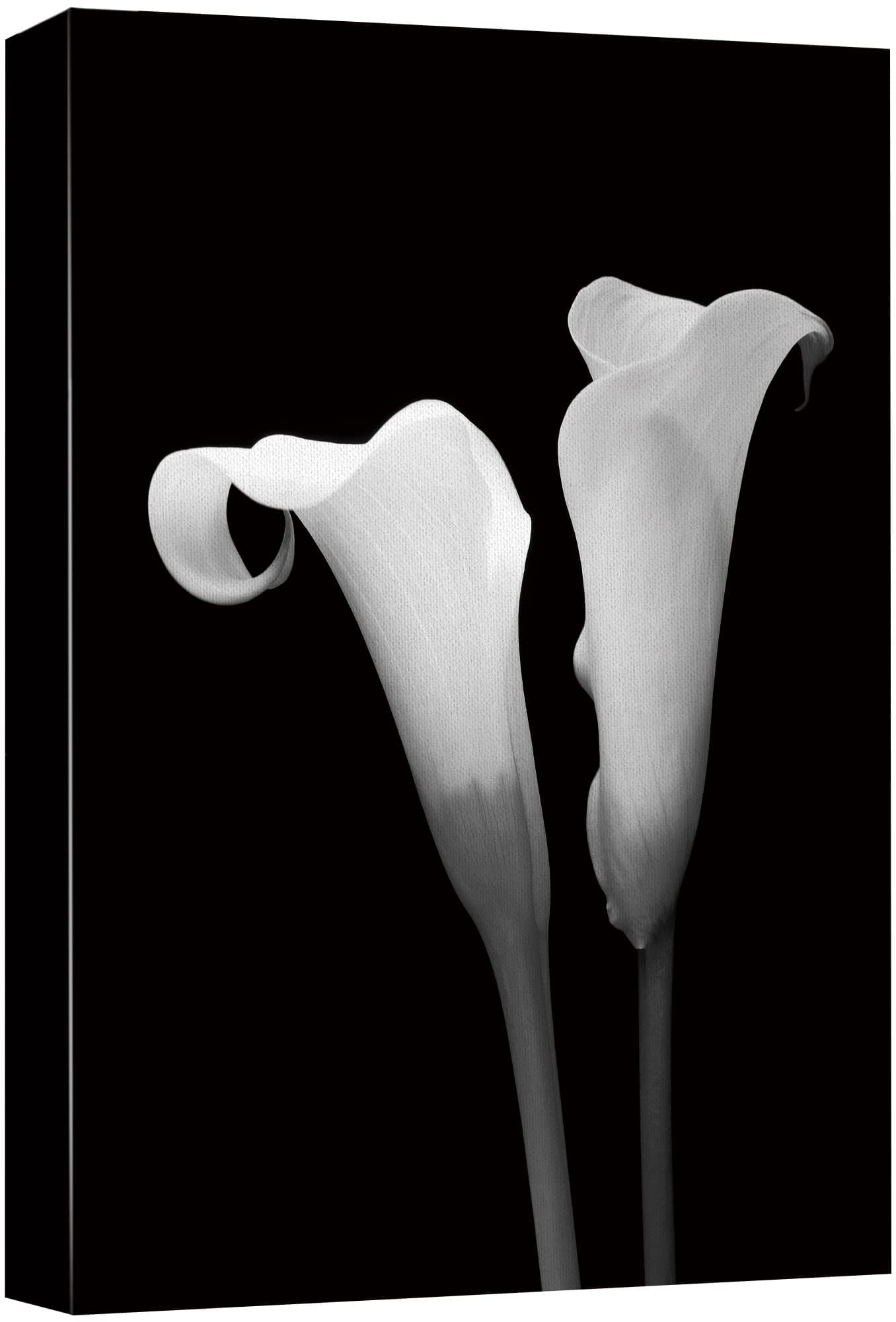 Canvas Print Wall Art Calla Lily Flower Duo Floral Plants Photography Modern Art Glam Closeup Dramatic Cool Black and White for Living Room, Bedroom, Office - 16"x24"