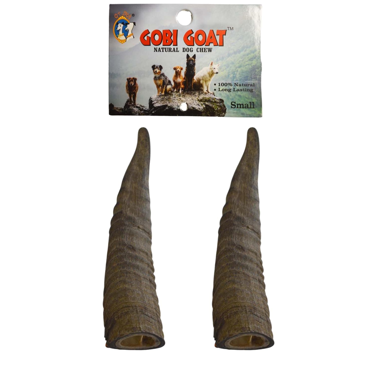 QT Dog Small Gobi Goat Horn (Pack of 4) - Long-Lasting 100% All-Natural Dog Chew, Ethically Sources Protein-Packed & Low Fat Dental Chews, Ideal for All Breeds & Aggressive Chewers