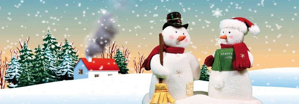 Animated Mr & Mrs Snowman 3D Bookmark - Ruler