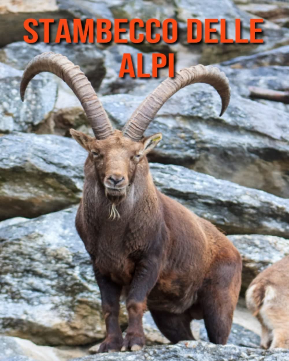 Stambecco delle Alpi: Foto stupende e fatti divertenti Libro sui Stambecco delle Alpi per bambini (Italian Edition)
