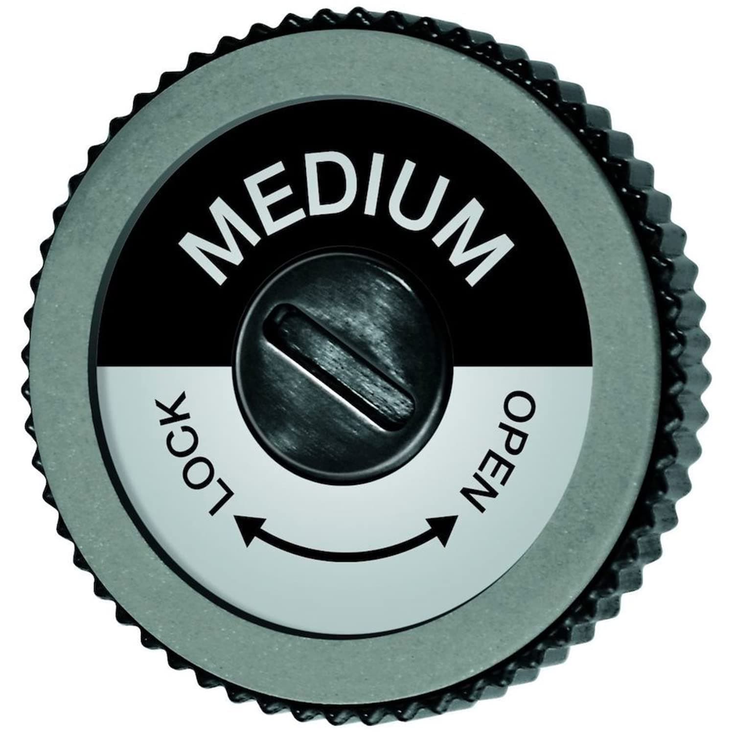 SwixSpare Medium Grit File Disc