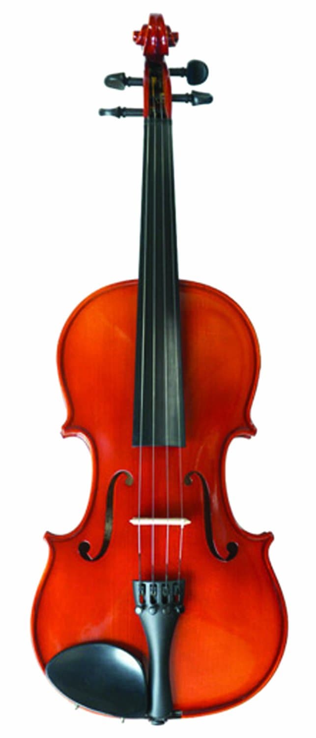 Nagoya Suzuki #220 Violin Outfit, 1/2