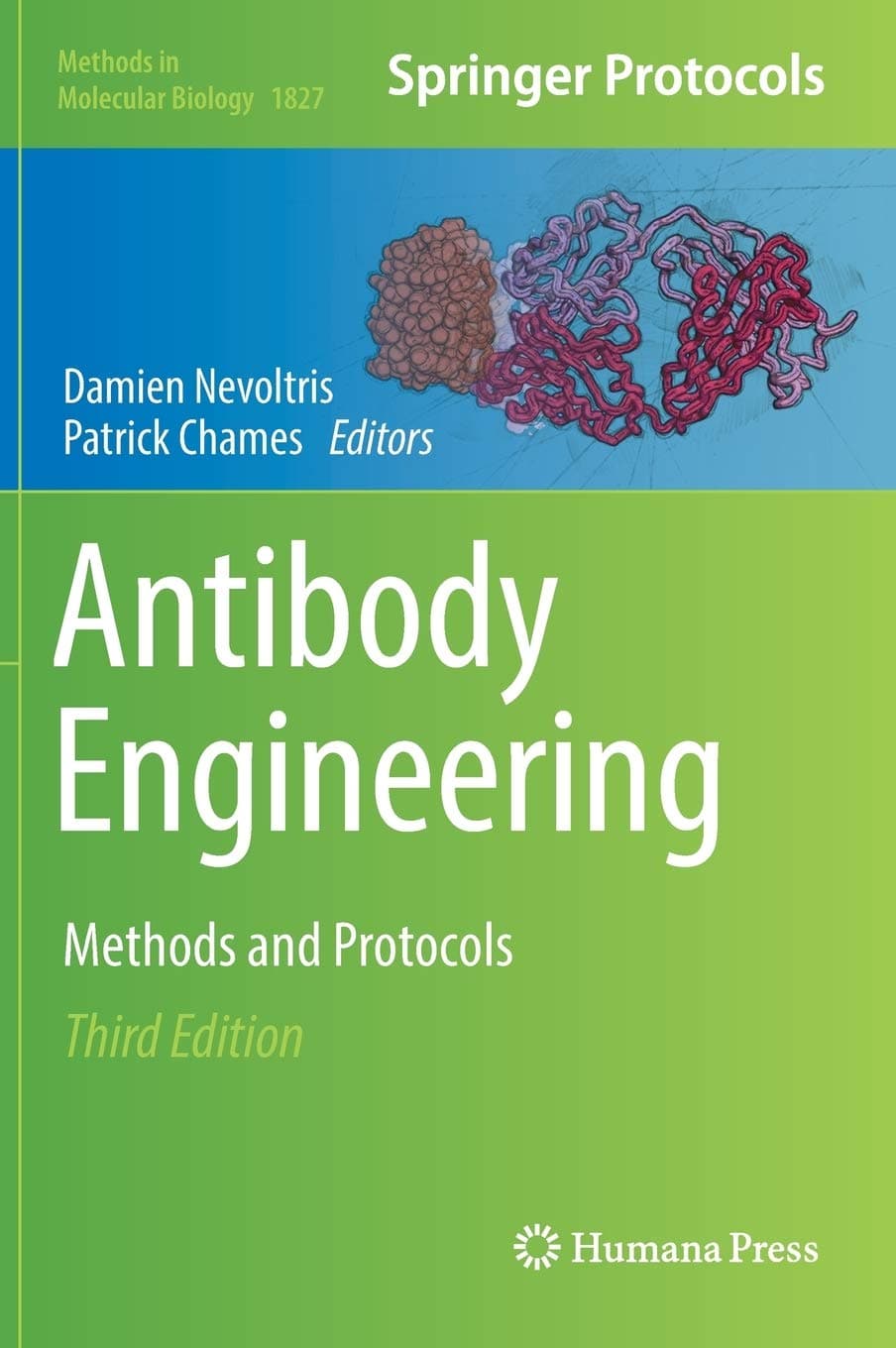 Antibody Engineering: Methods and Protocols (Methods in Molecular Biology, 1827)