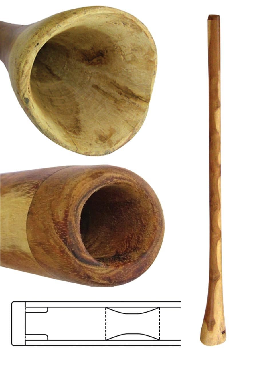 Eucalyptus Didgeridoo 59 inch