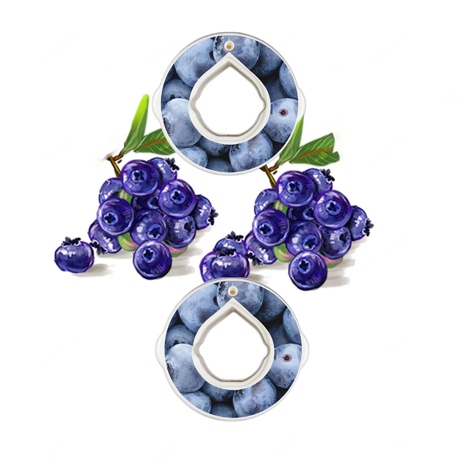 Flavour Pods for Air Up Water Bottle, Compatible with Air Up Water Bottle, Compatible with air up Flavor pods, for Flavouring Water pods Fruit Taste Pods,Blueberry