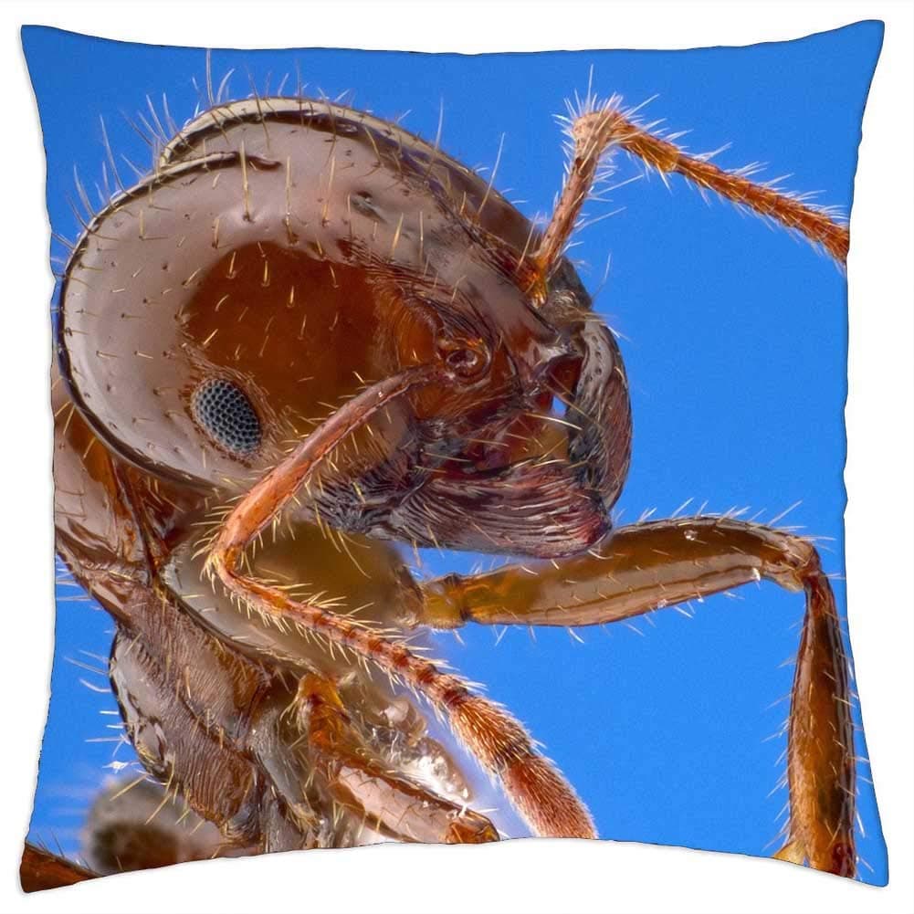 LESGAULESTThrow Pillow Cover (16x16 inch) - Fire Ant Worker Macro Insect Bug Wildlife Nature