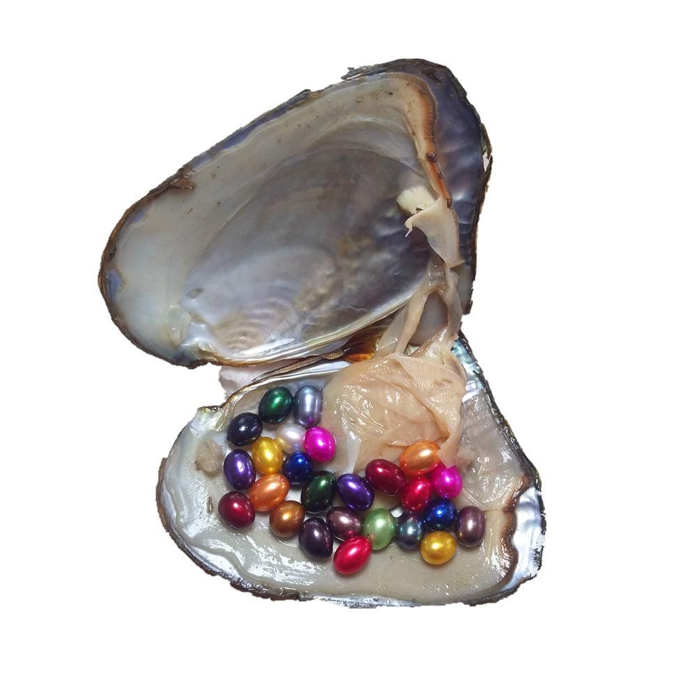 Big Mama's Rainbow Monster Oyster with 25 Rainbow Oval Pearls