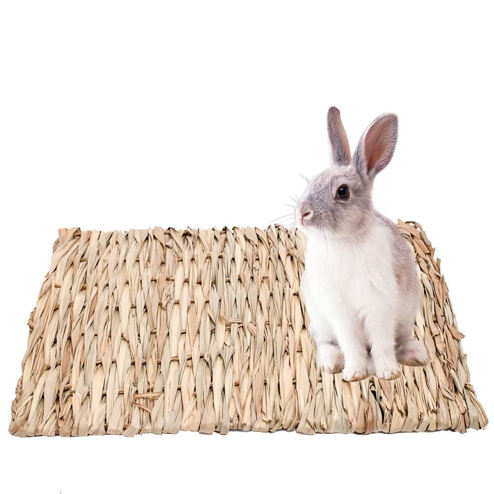 PAWCHIE 2 Pack Grass Mat for Rabbits Natural Hay Woven Bed Mat for Small Animal, Hamsters, Guinea Pigs, Chew Toys Bed