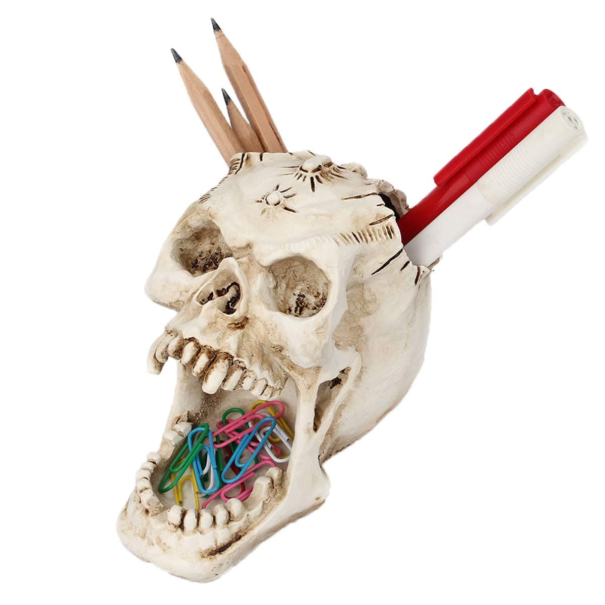 White Skull Pen Holder Office Desktop Ossuary Skulls Decor Halloween Decorations Skeleton Head Stationery Holder (White Skull)